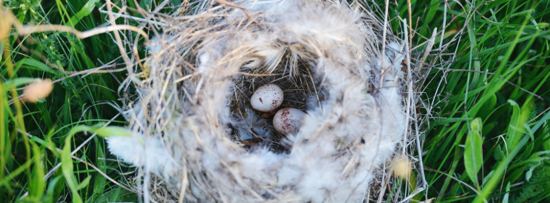 tuinkalender tuinbags mei
